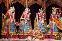 Daily Darshan