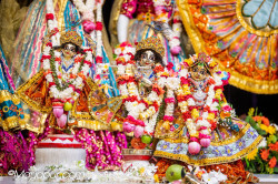 Daily Darshan