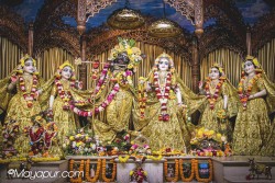 Daily Darshan