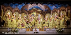 Daily Darshan