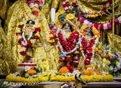 Daily Darshan