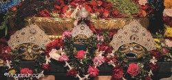 Daily Darshan