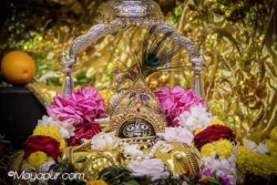 Daily Darshan