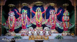 Daily Darshan