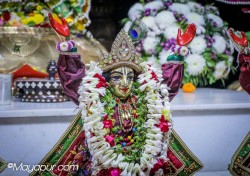 Daily Darshan