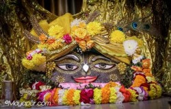 Daily Darshan