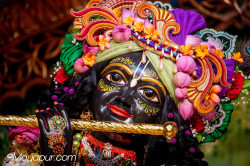 Daily Darshan
