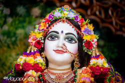 Daily Darshan