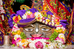 Daily Darshan
