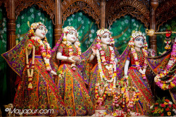 Daily Darshan