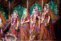 Daily Darshan