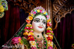 Daily Darshan