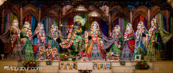 Daily Darshan