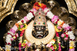 Daily Darshan