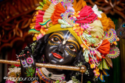 Daily Darshan