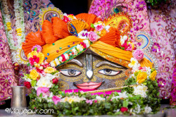 Daily Darshan