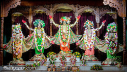 Daily Darshan