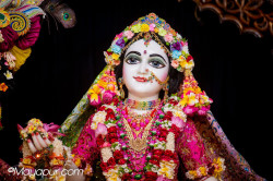 Daily Darshan