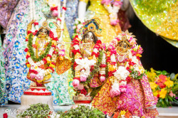 Daily Darshan