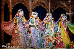 Daily Darshan