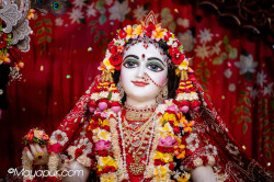 Daily Darshan