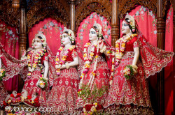 Daily Darshan