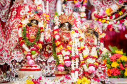 Daily Darshan