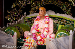 Daily Darshan