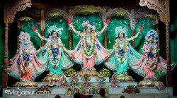 Daily Darshan