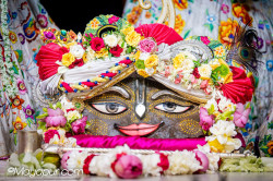 Daily Darshan
