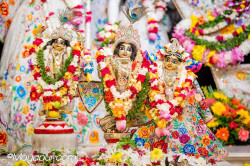 Daily Darshan