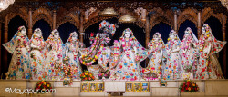 Daily Darshan