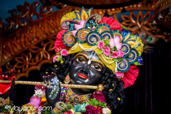 Daily Darshan