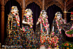 Daily Darshan