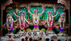 Daily Darshan