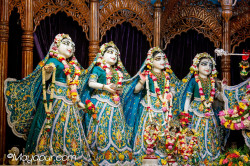 Daily Darshan