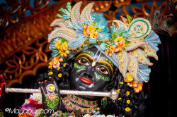 Daily Darshan