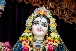 Daily Darshan