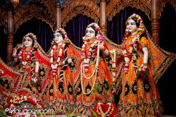 Daily Darshan