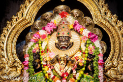 Daily Darshan