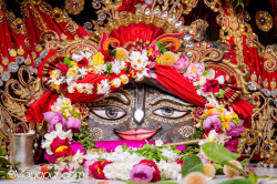 Daily Darshan