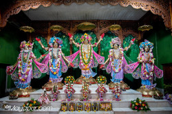 Daily Darshan