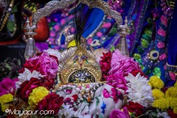 Daily Darshan