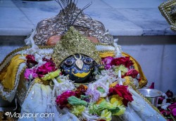 Daily Darshan