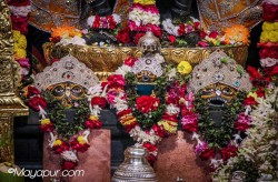 Daily Darshan