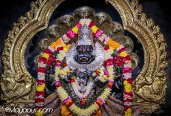 Daily Darshan