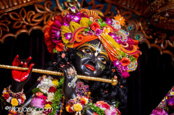 Daily Darshan