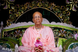 Daily Darshan