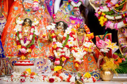 Daily Darshan