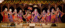 Daily Darshan